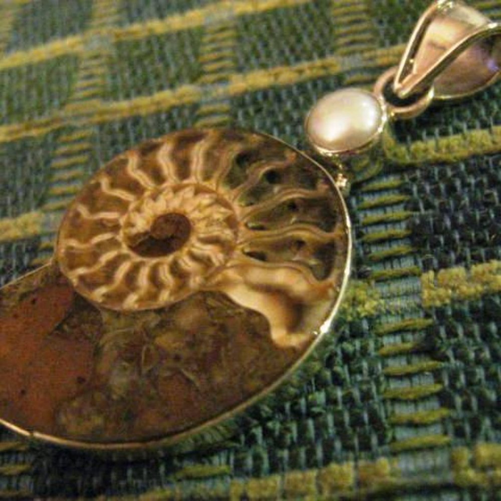 Fossil Pendant Shell Beautiful - image 1